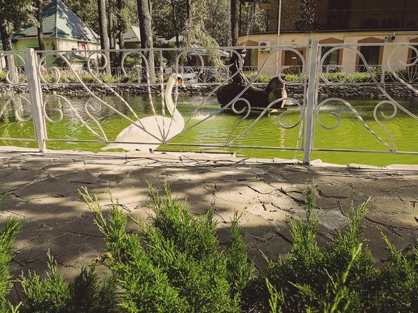Is Westgate Worth the Hype Honest Reviews You Need to Read